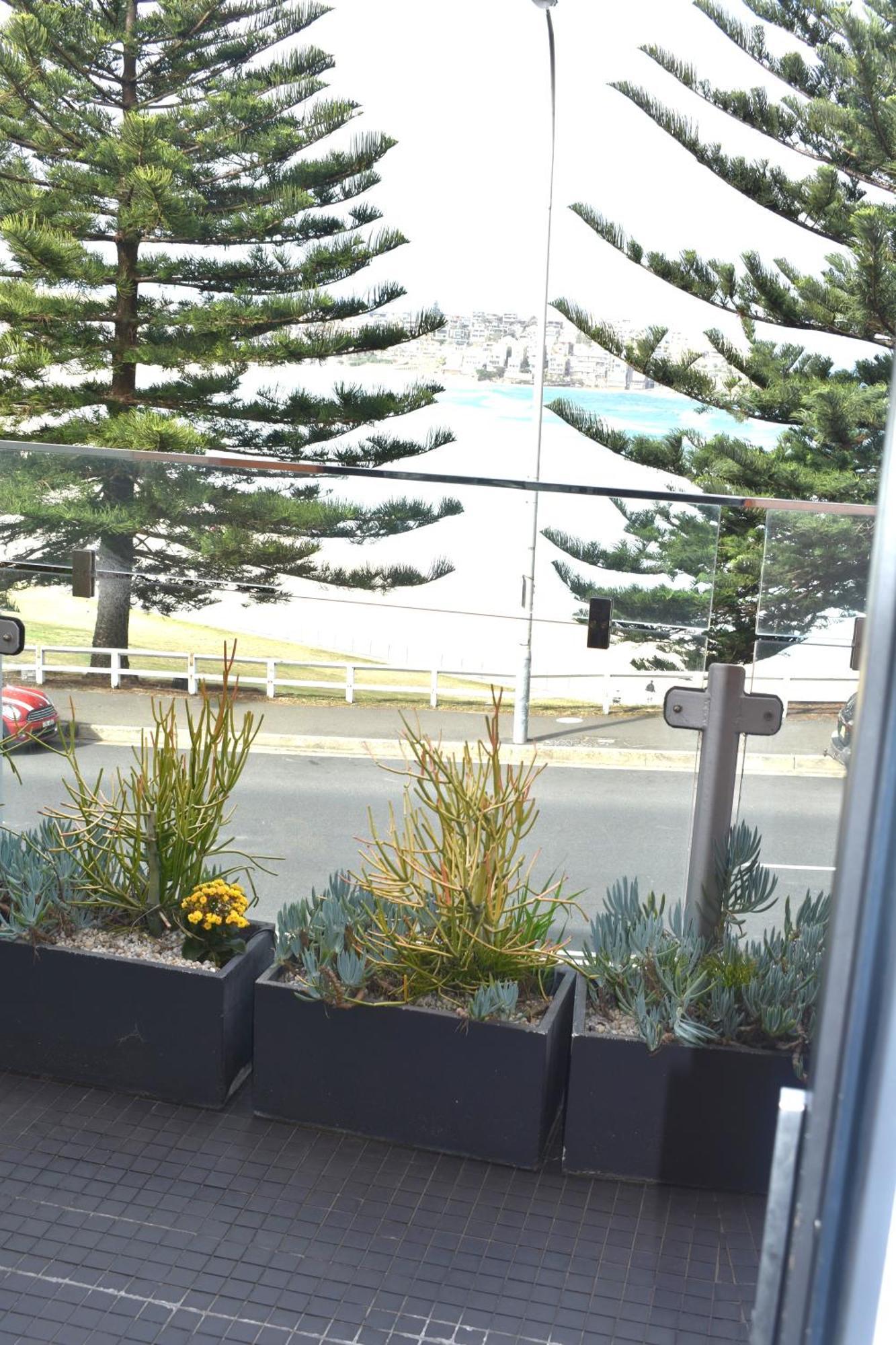 Bondi 38 Serviced Apartments Сидни Екстериор снимка